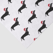 Dachshund in een kerstkerstman met kerstmis tissuepapier (Detail)