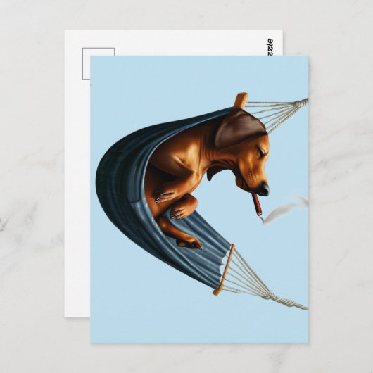 Dachshund in Hangmat Briefkaart (Voorkant / Achterkant)