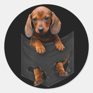 Dachshund in Mijn zak Dachshund Weiner Dog Gift Ronde Sticker