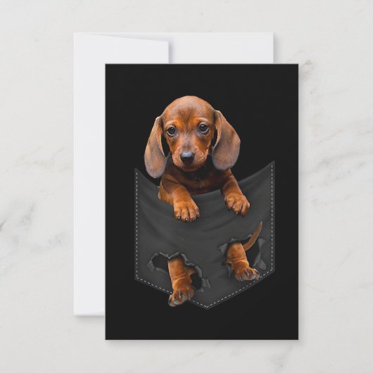 Dachshund in Mijn zak Dachshund Weiner Dog Gift RSVP Kaartje (Voorkant)