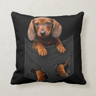 Dachshund in mijn zakdoekje kussen