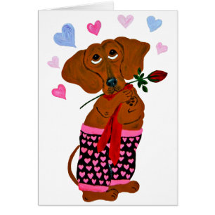 Dachshund in roze hartshorts
