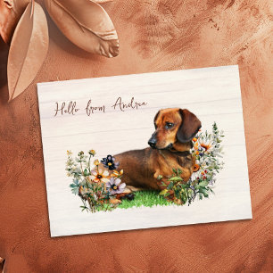 Dachshund in wilde bloemen Hallo vanuit ansichtkaa Briefkaart