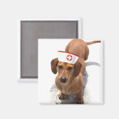 Dachshund infirmière aimant (Recto/Verso)