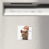 Dachshund infirmière aimant (In Situ (Lave-vaisselle))