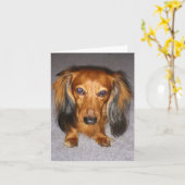 Dachshund Kaart (Gele Bloem)