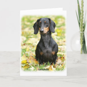 Dachshund Kaart