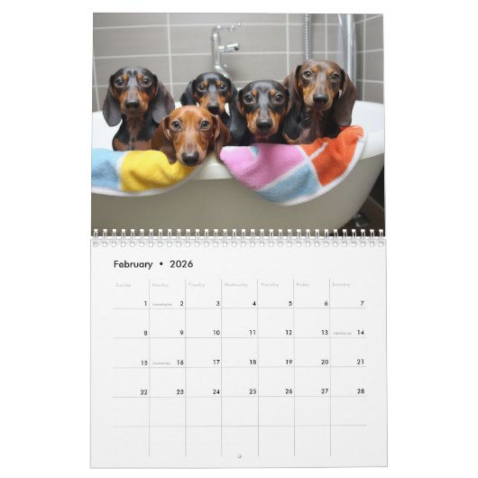 Dachshund Kalender (Feb 2026)