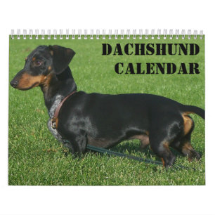 Dachshund kalender met foto's