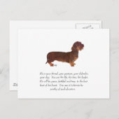 Dachshund Keepomwille - Male Briefkaart (Voorkant / Achterkant)