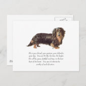 Dachshund Keepomwille - Male Briefkaart (Voorkant / Achterkant)