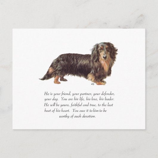 Dachshund Keepomwille - Male Briefkaart (Voorkant)
