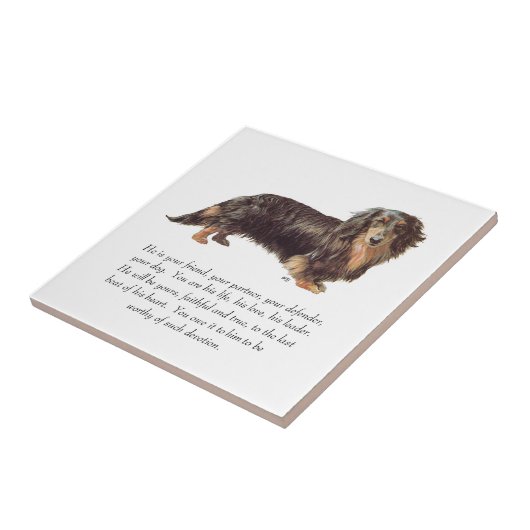 Dachshund Keepomwille - Male Tegeltje (Zijkant)