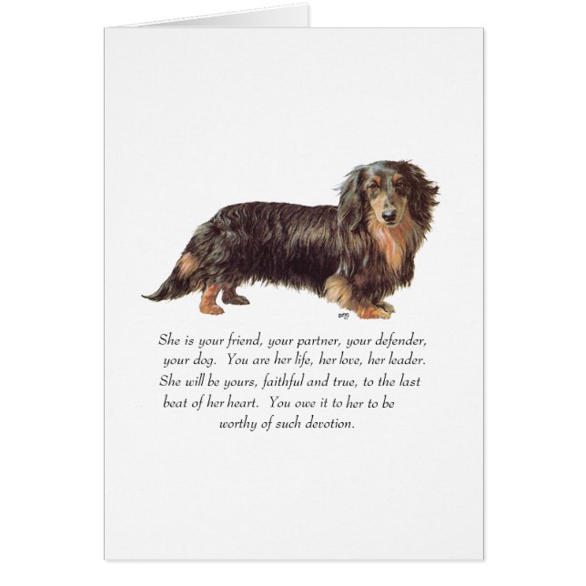 Dachshund Keepomwille - Vrouw (Voorkant)