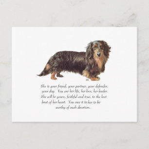 Dachshund Keepomwille - Vrouw Briefkaart