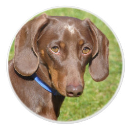 Dachshund Keramische Knop