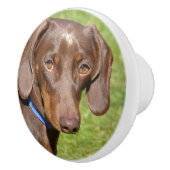 Dachshund Keramische Knop (Rechts)