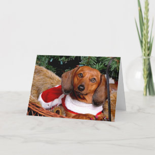 Dachshund-kerstkaart Feestdagen Kaart