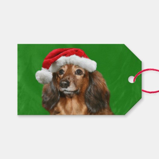 Dachshund Kerstmis Cadeaulabel (Voorkant (Horizontaal))