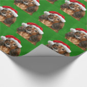Dachshund Kerstmis Cadeaupapier (Hoek)
