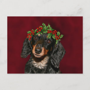 Dachshund Kerstmis Feestdagenkaart