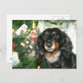 Dachshund Kerstmis Feestdagenkaart (Voorkant / Achterkant)
