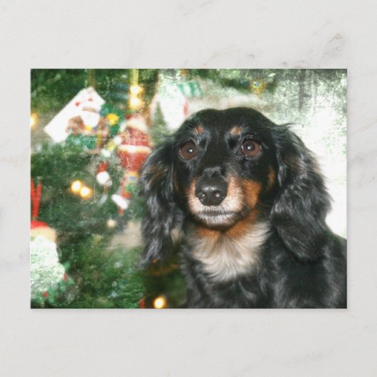 Dachshund Kerstmis Feestdagenkaart (Voorkant)