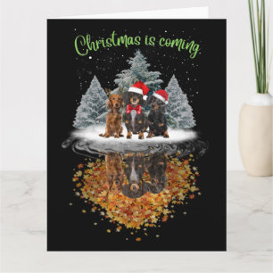 Dachshund Kerstmis Komt Aardig Hond Grafisch T-Shi Kaart