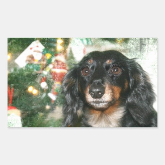 Dachshund Kerstmis Rechthoekige Sticker (Voorkant)