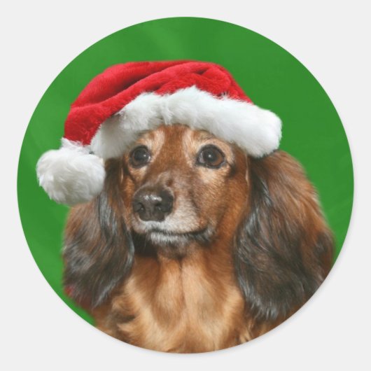 Dachshund Kerstmis Ronde Sticker (Voorkant)