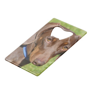 Dachshund Kredietkaart Flessenopener