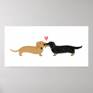 Dachshund Kus met Hart Poster