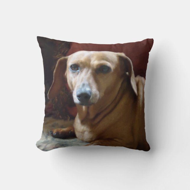 Dachshund Kussen (Voorkant)