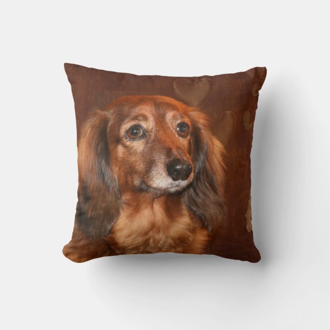 Dachshund Kussen (Voorkant)