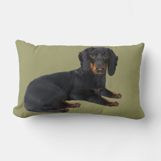 Dachshund-Kussens Kussen (Voorkant)