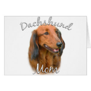 Dachshund (langharig) Moeder 2