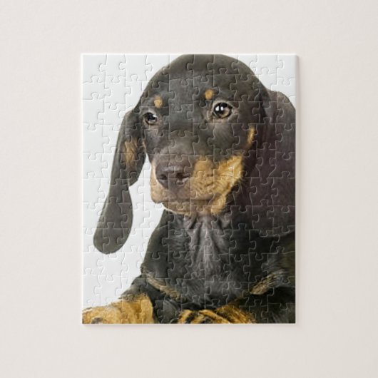 Dachshund Legpuzzel (Verticaal)