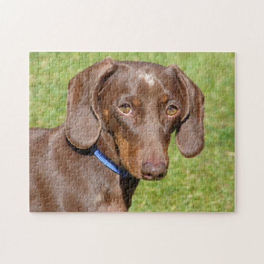 Dachshund Legpuzzel (Horizontaal)
