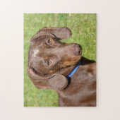 Dachshund Legpuzzel (Verticaal)