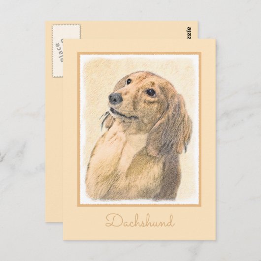 Dachshund (Longhaire) Schilderen - Oorspronkelijke Briefkaart (Voorkant / Achterkant)