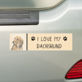 Dachshund (Longhaire) Schilderen - Oorspronkelijke Bumpersticker (Op auto)
