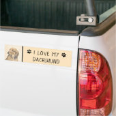 Dachshund (Longhaire) Schilderen - Oorspronkelijke Bumpersticker (Op Truck)