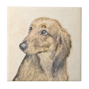 Dachshund (Longhaire) schilderen - Oorspronkelijke Tegeltje