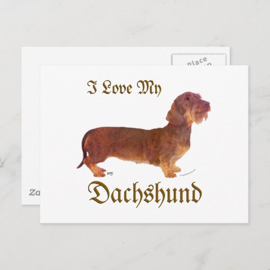 Dachshund Love Briefkaart (Voorkant / Achterkant)