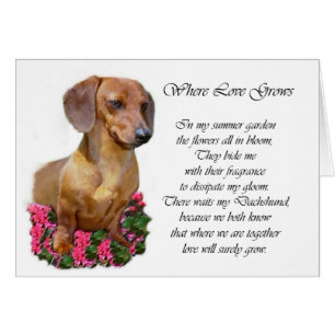 Dachshund Lovers Cadeaux