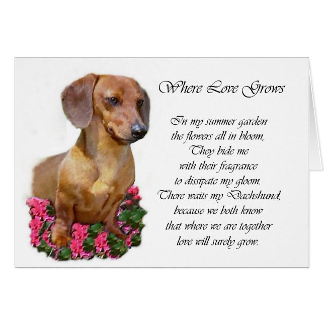 Dachshund Lovers Gifts (Voorkant Horizontaal)