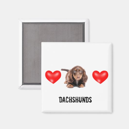 Dachshund Magnet (Recto/Verso)