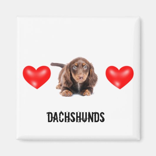 Dachshund Magnet (Devant)