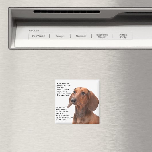 Dachshund Magnet Magneet (Insitu (Vaatwasser))