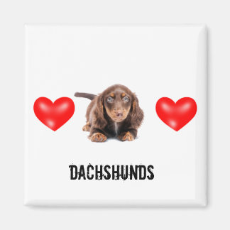 Dachshund Magnet Magneet